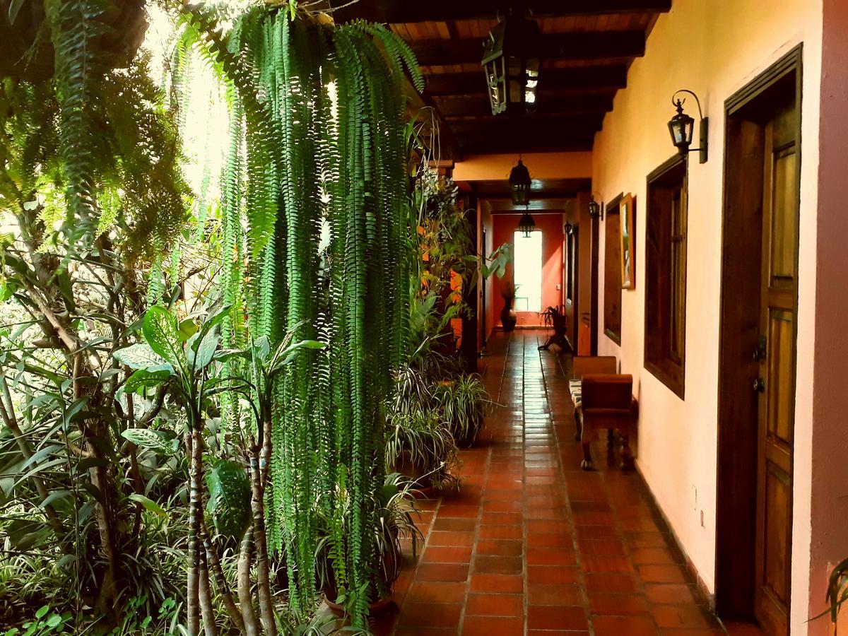 Posada Papa Chepe La Esperanza Exterior foto