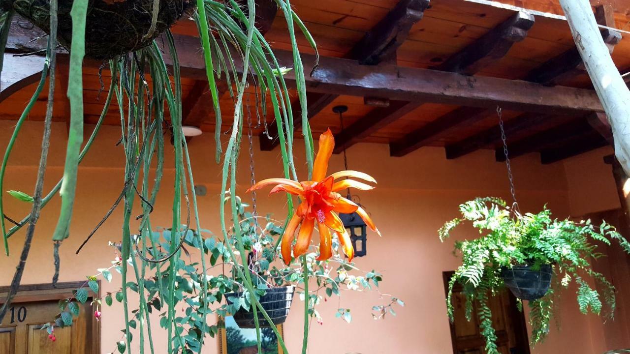 Posada Papa Chepe La Esperanza Exterior foto